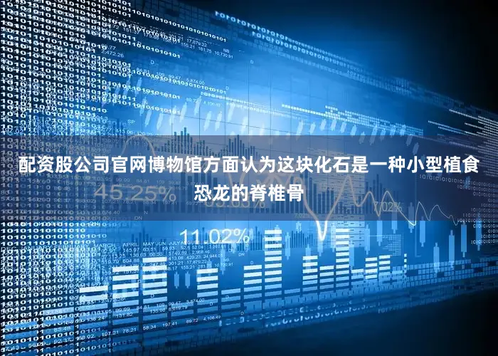 配资股公司官网博物馆方面认为这块化石是一种小型植食恐龙的脊椎骨