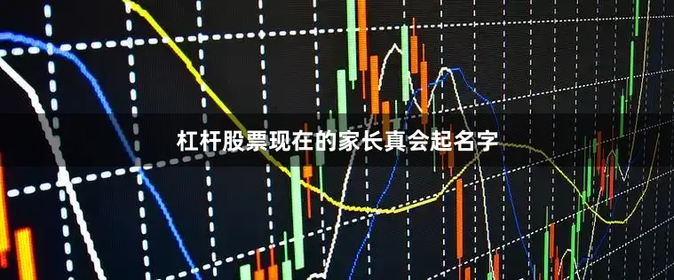 杠杆股票现在的家长真会起名字