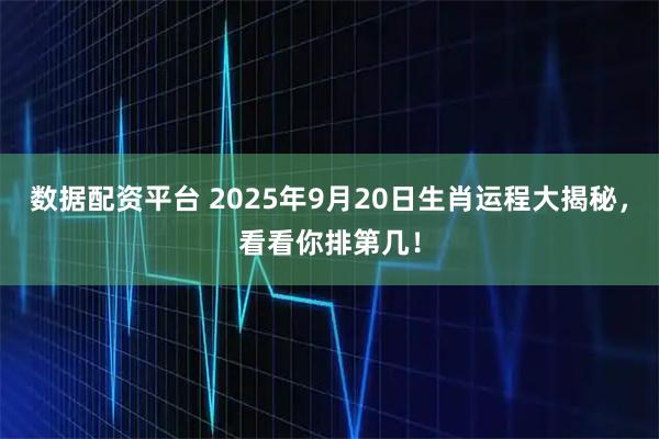 数据配资平台 2025年9月20日生肖运程大揭秘，看看你排第几！
