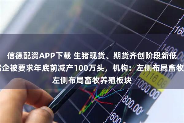 信德配资APP下载 生猪现货、期货齐创阶段新低！25家猪企被要求年底前减产100万头，机构：左侧布局畜牧养殖板块