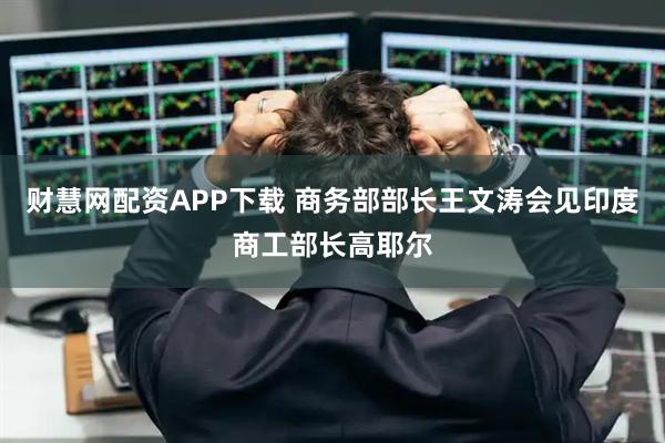 财慧网配资APP下载 商务部部长王文涛会见印度商工部长高耶尔