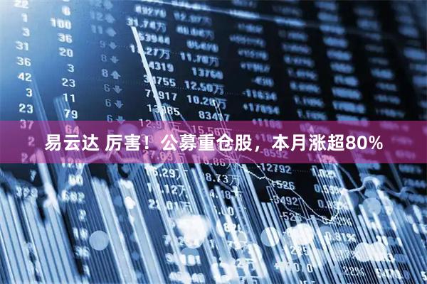 易云达 厉害！公募重仓股，本月涨超80%