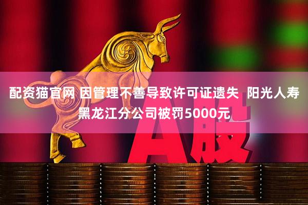 配资猫官网 因管理不善导致许可证遗失  阳光人寿黑龙江分公司被罚5000元